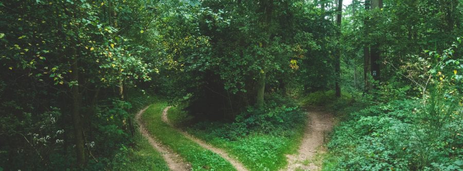 fear of better options