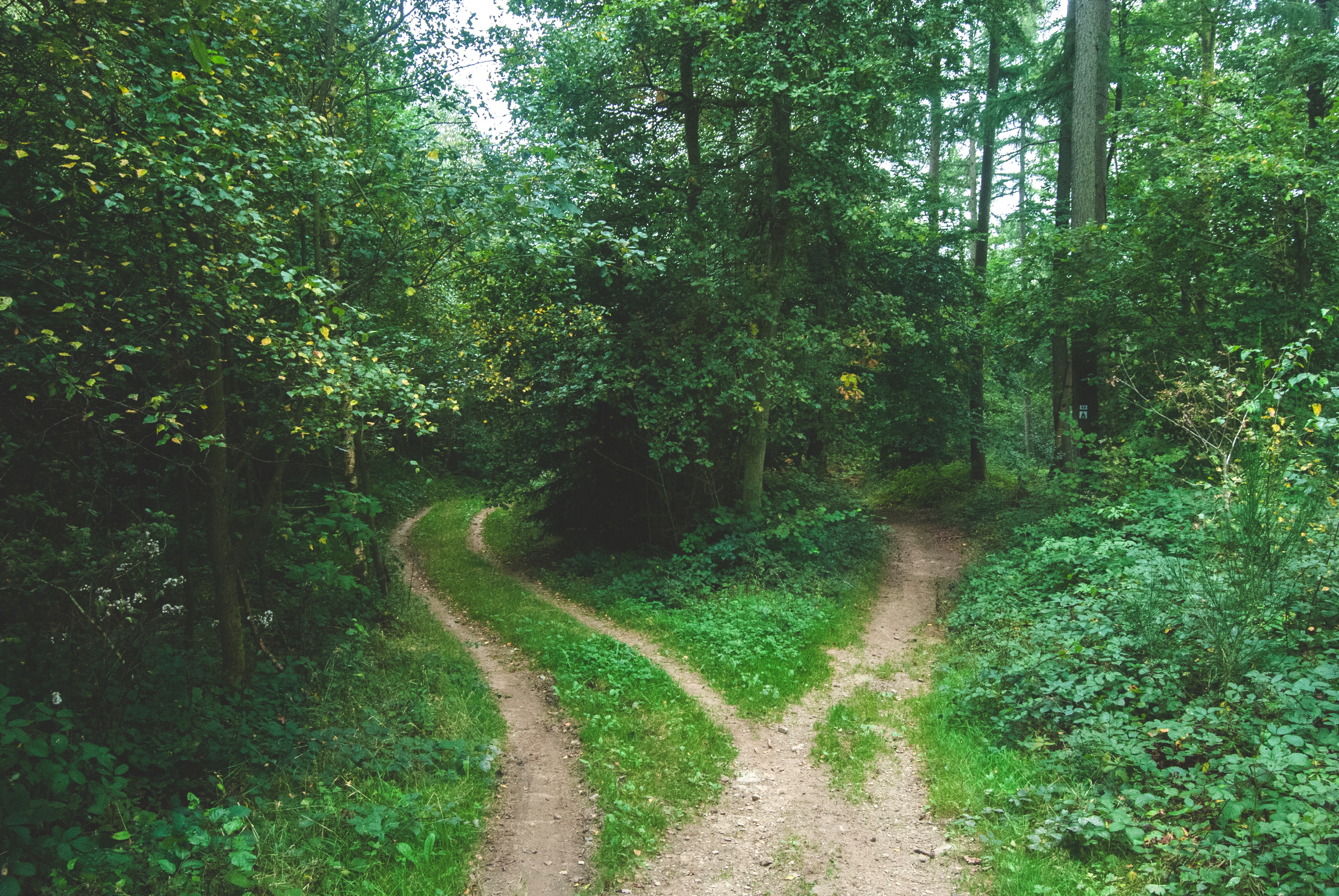 How to Overcome Fear of Better Options for Indecisive Young Adults
